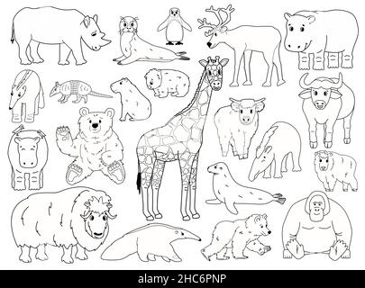 Set of doodle animals. Vector outline cartoon isolated graphic hand drawn illustration. Giraffe bear orangutan ox rhino wombat highland cow seal tapir Stock Vector