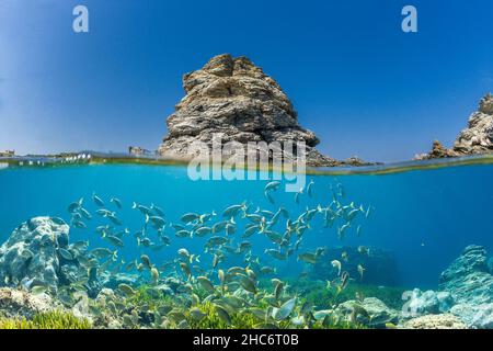 FRANCE, VAR (83) SIX-FOURS-LES-PLAGES Stock Photo