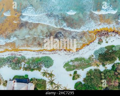 Aerial Picture of the Akumal Bay in Quintana Roo, Mexico during Sunset Stock Photo