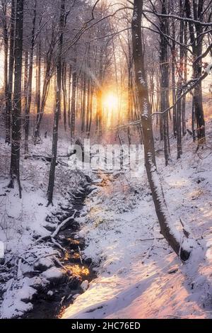 Snow-covered landscape in winter. Frozen forest with cold ice water creek and the winter sun in December. Pastel colored light around winter solstice. Stock Photo