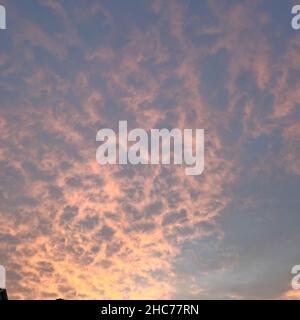 A beautiful muted pink, orange and blue sunrise in a neighborhood in Orlando, Florida. Stock Photo