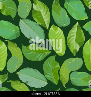 Seamless pattern of green walnut leaves on a dark green background Stock Vector