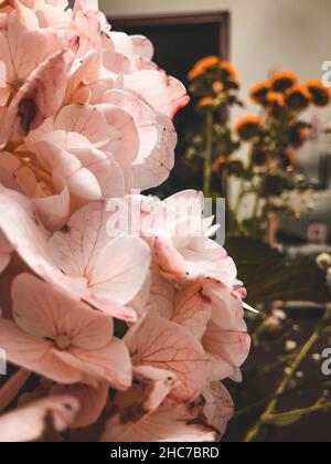 Vertical shot of delicate pink flowers indoors with a blurry background Stock Photo