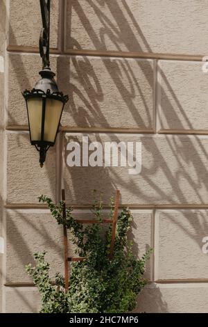 A vertical shot of a vintage lamp and a plant on a background of a brick wall Stock Photo