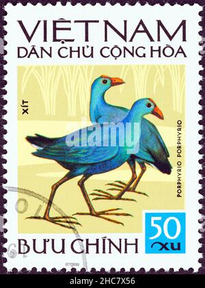 VIETNAM - CIRCA 1972: A stamp printed in North Vietnam from the 'Vietnamese Birds' issue shows Purple swamphen (Porphyrio porphyrio), circa 1972. Stock Photo