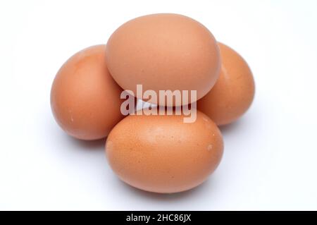 Photo of four eggs stacked on a white background Stock Photo