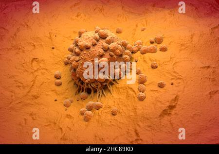Melanoma cell a type of skin cancer top view 3d illustration Stock ...