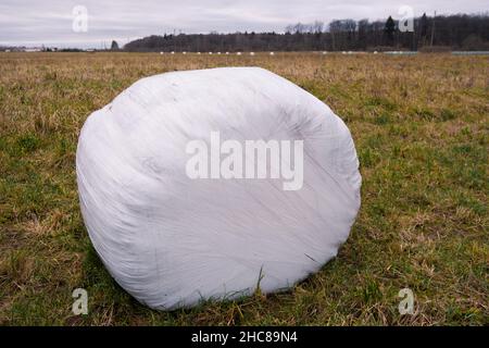 A haystack packed for winter in the field. High quality photo Stock Photo