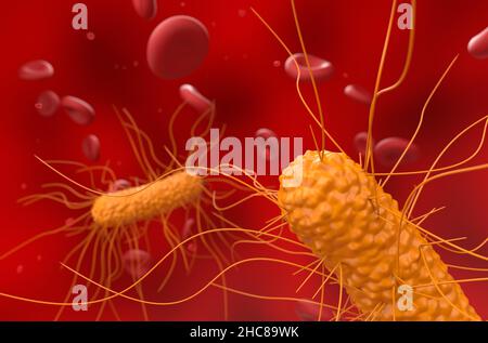 General bacterias in the blood flow - closeup view 3d illustration Stock Photo
