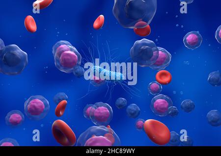 General bacteria in the blood flow - isometric view 3d illustration Stock Photo