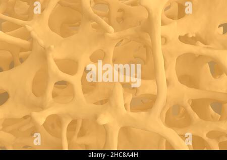 Fracture bones in osteoporosis - natural material front view 3d illustration Stock Photo