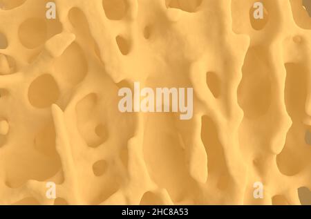 Normal bone structure (healthy bone cortex) - natural material front view 3d illustration Stock Photo