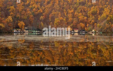 Houses on lake shore during autumn season with yellow leaves forest reflection in water Stock Photo