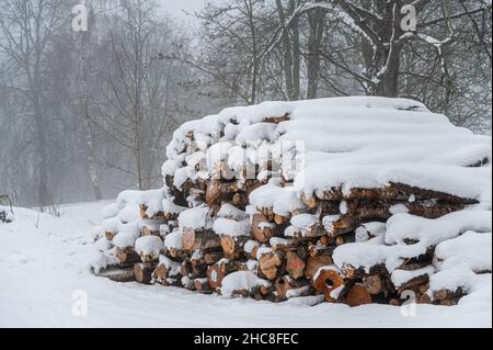 A pile of firewood covered with snow lies by the road in the forest. Freshly Cut Logs And Firewood From Loggers. Stock Photo