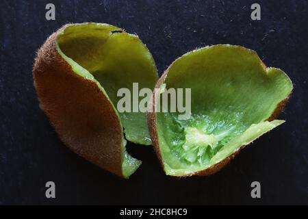 Photography of kiwi peels on slate for food background Stock Photo