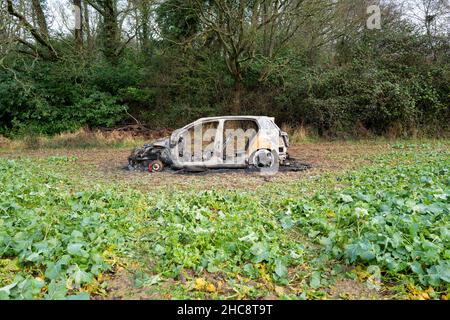 Burnt Out Volkswagen Golf GTi Car in Field Stock Photo