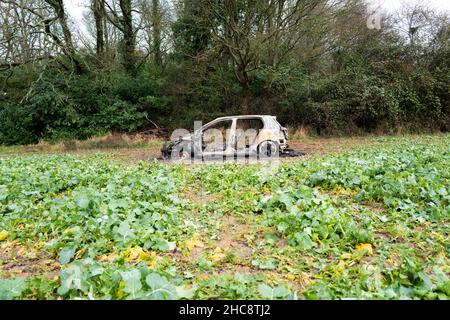 Burnt Out Volkswagen Golf GTi Car in Field Stock Photo