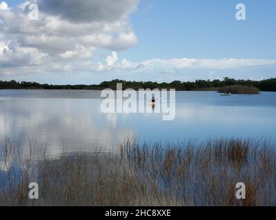 Distant kayakers on calm water of Nine Mile Pond in Everglades National ...