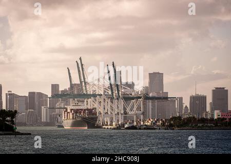 cargo ship unloading during sunset at Miami harbour Stock Photo