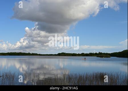 Distant kayakers on calm water of Nine Mile Pond in Everglades National ...