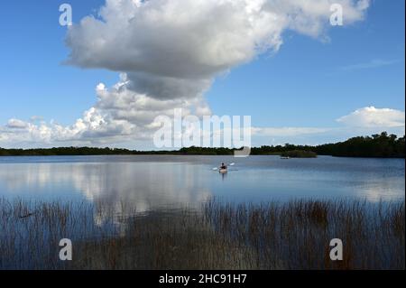 Distant kayakers on calm water of Nine Mile Pond in Everglades National ...