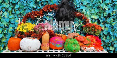 Front view of various pumpkin sorts on a decorated backdrop with flowers Stock Photo
