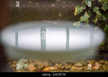 reflection in still water of upright light aqua coloured metal railing posts seen in a hanging water bowl under a bird feeding station Stock Photo