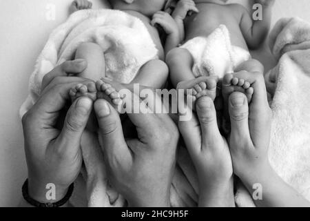 The father and mother are holding the legs of the newborn twins. The hands of parents and the feet of their children. Stock Photo