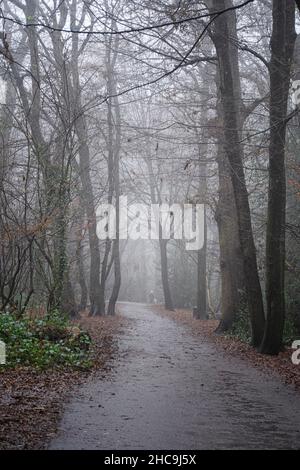 Fog in London Boxing Day 2021 Stock Photo