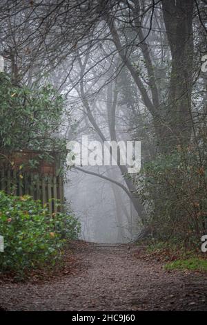 Fog in London Boxing Day 2021 Stock Photo