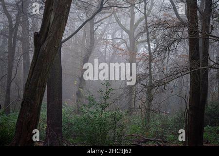 Fog in London Boxing Day 2021 Stock Photo