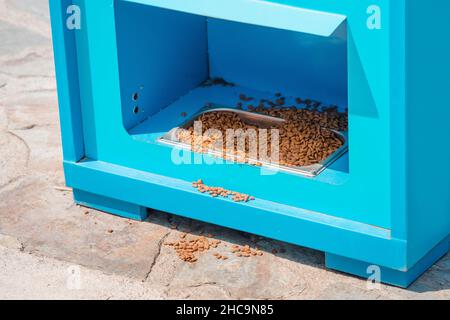 Automatic feeder for stray cats and dogs outdoors at city street