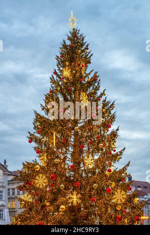 Decorated and illuminated christmas tree Stock Photo