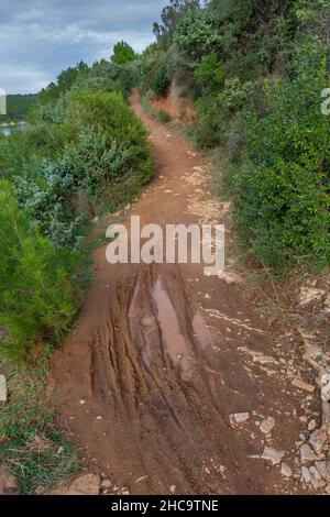 Muddy trail through mediterranean vegetation with MTB tracks in puddle Stock Photo