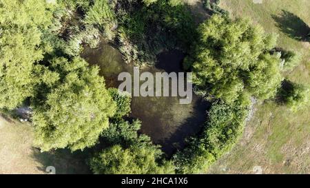 Aerial view of a green pond with bushes and green water lilies. Top view of summer natural landscape with green moss, vegetation on small lake. Stock Photo
