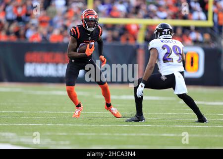 Cincinnati Bengals wide receiver Tee Higgins (85) warms up before an NFL  wild-card football game against the Baltimore Ravens on Sunday, Jan. 15,  2023, in Cincinnati. (AP Photo/Emilee Chinn Stock Photo - Alamy