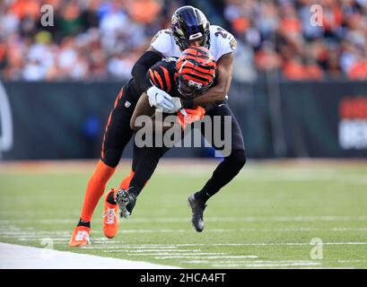 Cincinnati Bengals wide receiver Tee Higgins (85) lines up for the play  during an NFL wild-card football game against the Baltimore Ravens on  Sunday, Jan. 15, 2023, in Cincinnati. (AP Photo/Emilee Chinn