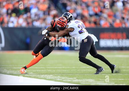 Cincinnati Bengals wide receiver Tee Higgins (85) during an NFL football  game against the New Orleans Saints, Sunday, Oct. 16, 2022, in New Orleans.  (AP Photo/Tyler Kaufman Stock Photo - Alamy