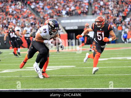 Cincinnati Bengals tight end Drew Sample (89) runs for the play