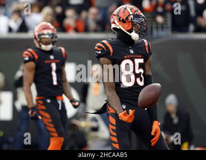 Cincinnati Bengals wide receiver Tee Higgins (85) warms up before an NFL  wild-card playoff football game against the Las Vegas Raiders, Saturday,  Jan. 15, 2022, in Cincinnati. (AP Photo/Emilee Chinn Stock Photo 