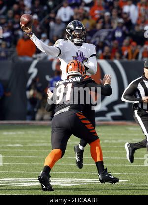 Baltimore Ravens quarterback Josh Johnson (17) hands off the ball to ...