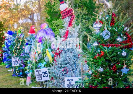 Christmas trees decorate Water Tower Plaza, Dec. 24, 2021, in Dauphin Island, Alabama. Stock Photo