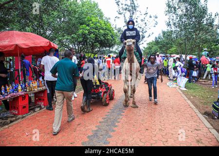 Nairobi, Kenya. 25th Dec, 2021. A Kenyan enjoys a camel ride on Christmas Day. For many years, Kenyans living in Nairobi and its environs have spent Christmas Day at the Uhuru and Central parks. However, that is not the case this year, as the two parks remain closed for renovations. This did not stop them from enjoying the day in small spaces that were available. Credit: SOPA Images Limited/Alamy Live News Stock Photo