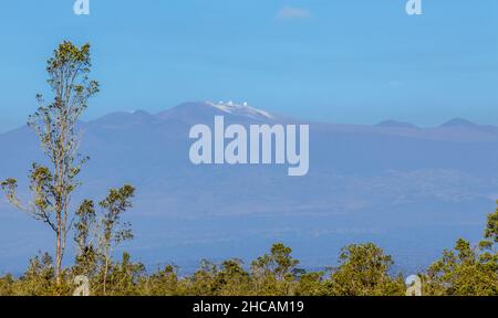 Big Island, Hawaii. Mauna Kea Summit Observatories covered by snow viewed from the Saddle Road with the trees on foreground Stock Photo