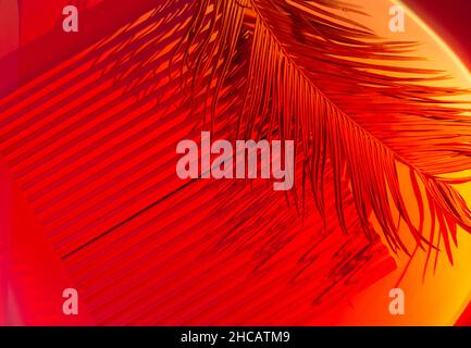 Palm tree leaves on abstract background with podiums in neon light. Trendy geometric shapes for products. Red-orange gradient light. Minimalism, 90s Stock Photo