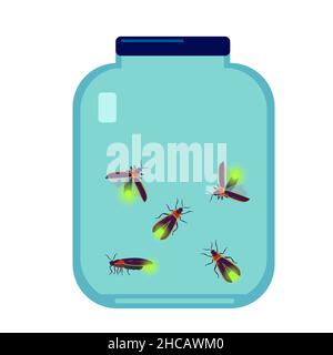 Vector illustration of firefly beetle in glass bottle isolated on white background. Stock Vector