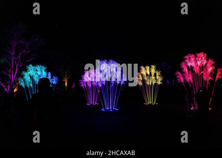 New York, United States. 26th Dec, 2021. Brooklyn Botanic Garden holidays light show produced by WAD Entertainment and Sony Music. This winter Brooklyn Botanic Garden created for the first time a light show during holidays. Spectacular show is visited by thousands of people during Catholic Christmas, New Year and Orthodox Christmas holidays and will run till January 9, 2022. (Photo by Lev Radin/Pacific Press) Credit: Pacific Press Media Production Corp./Alamy Live News Stock Photo