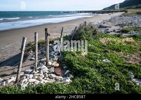 Post and wire fence beside beach at Glenburn, Wairarapa, North Island, New Zealand Stock Photo