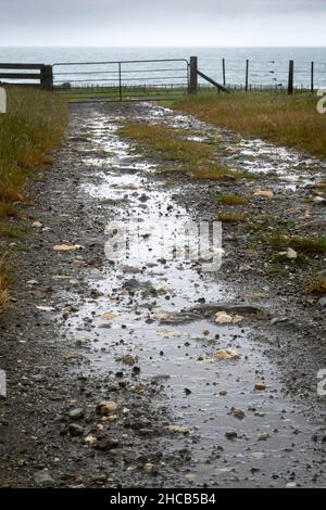 Gravel farm track leading towards the Pacific Ocean, Glenburn, Wairarapa, North Island, New Zealand Stock Photo