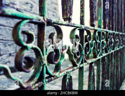 Green iron rusty fence Stock Photo